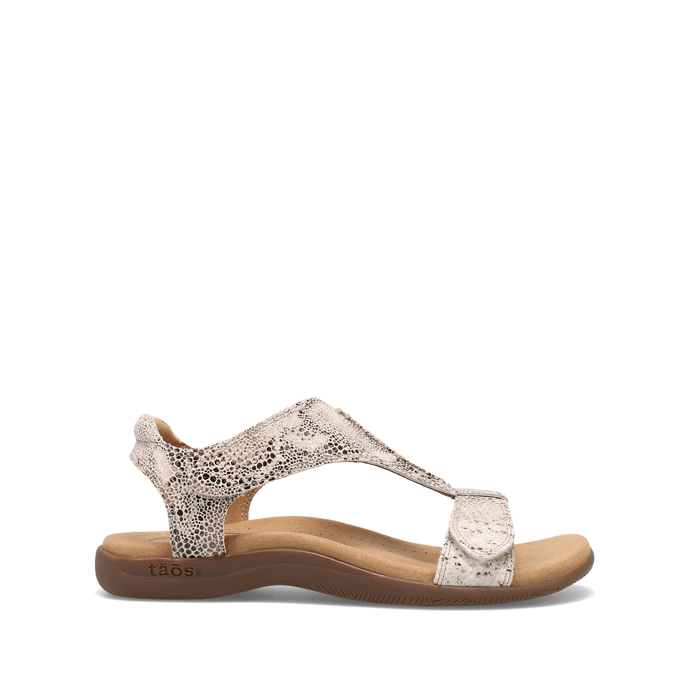 Brown Snake,5