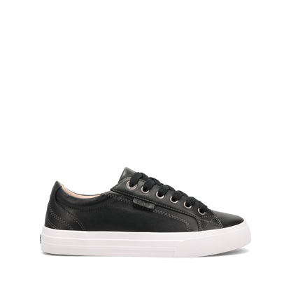 Black/White,5