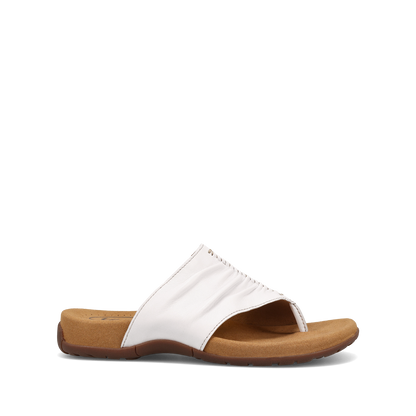 Classic White,6