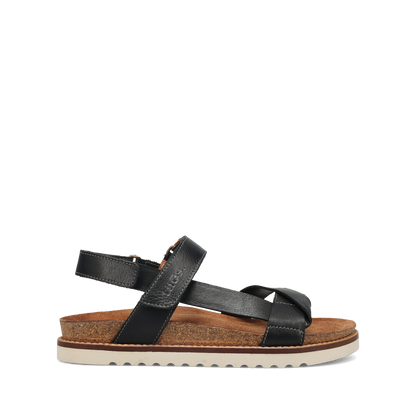 Black,36