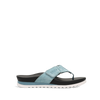 Blue/White