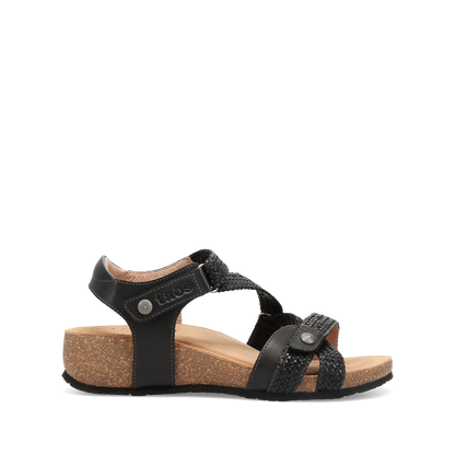 Black,36