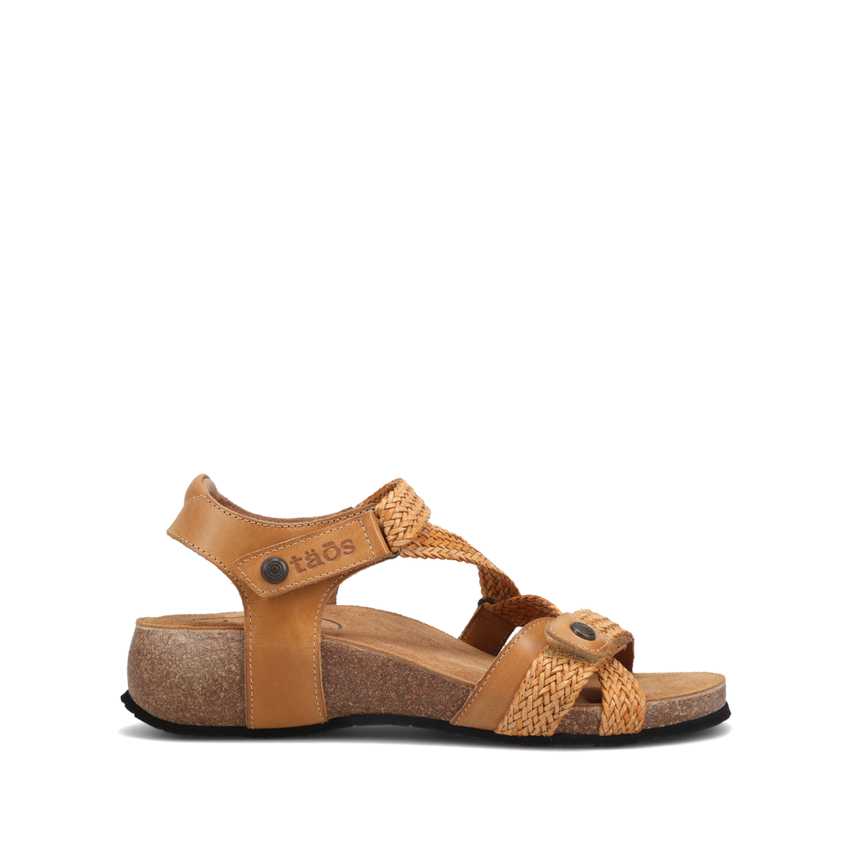 Camel,36