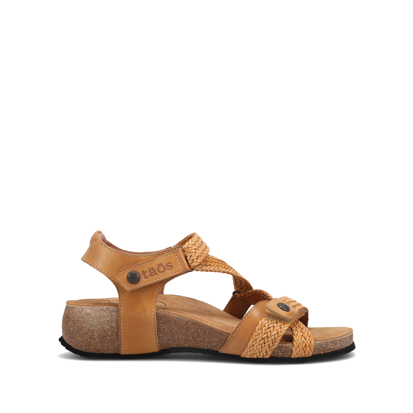 Camel,36