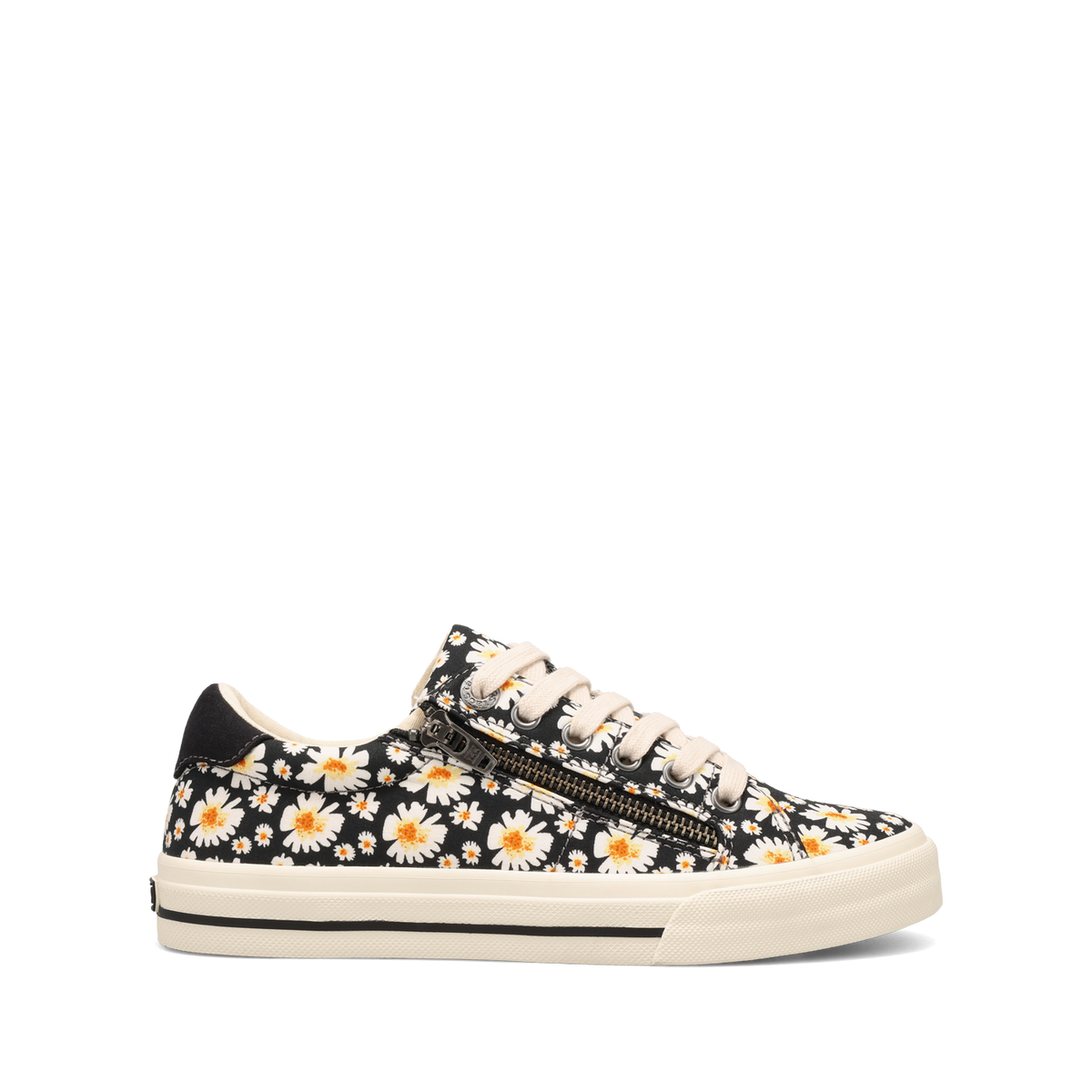 Black Daisy,5