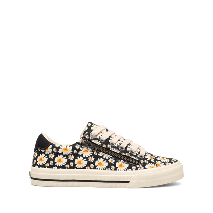 Black Daisy,5
